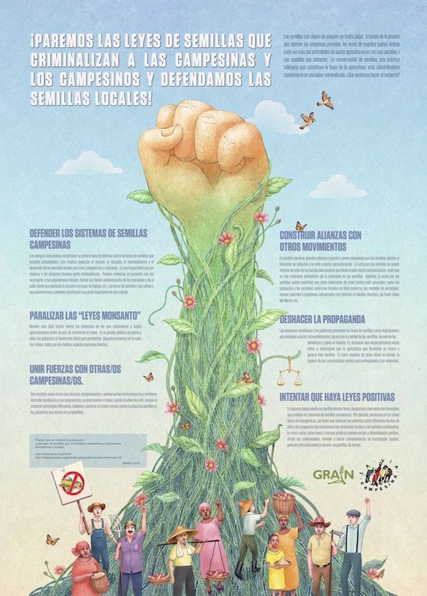Infografía  ¡Paremos las leyes de semillas que criminalizan a las campesinas y los campesinos y defendamos las semillas locales!